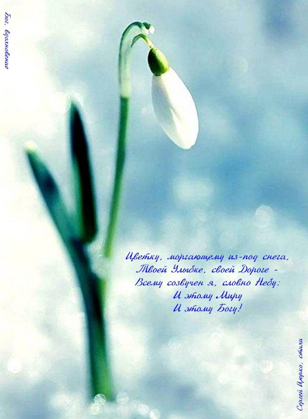 март подснежники