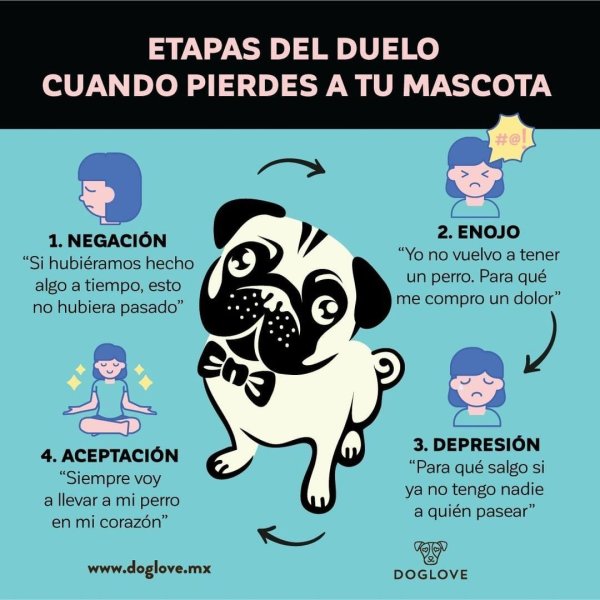 векторное изображение собаки