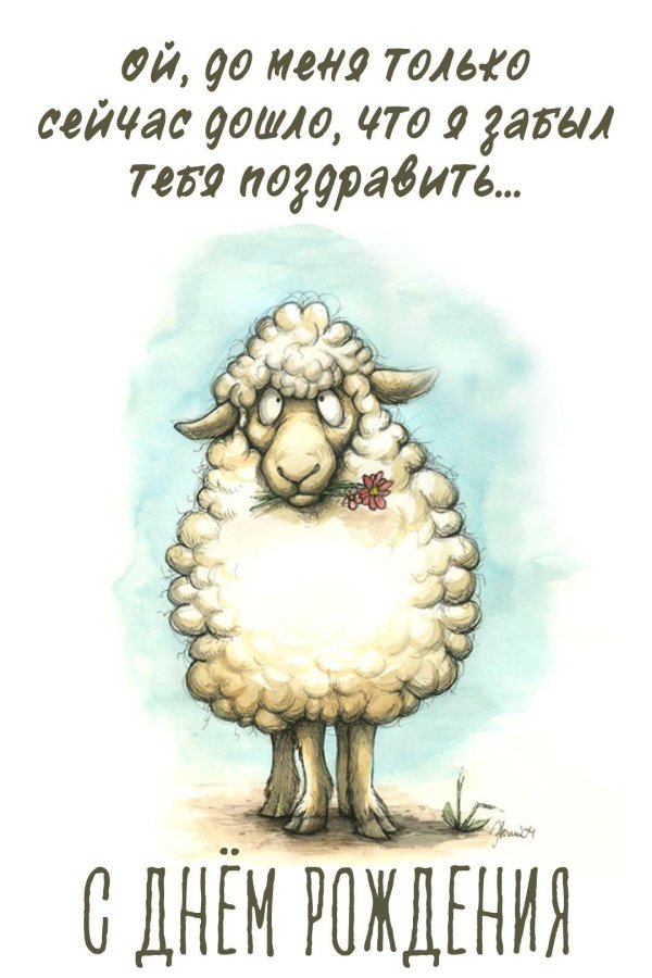 смешная овечка