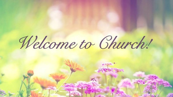 летние фоны