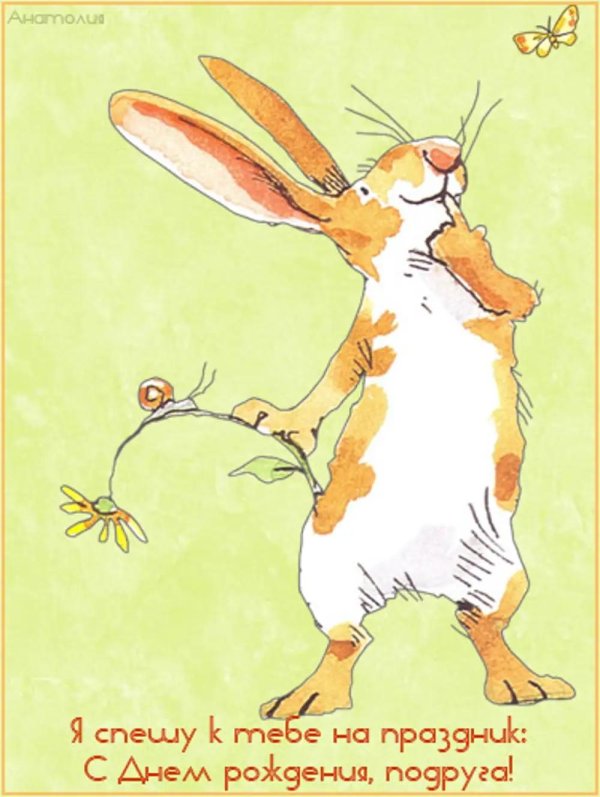 кролик иллюстрация