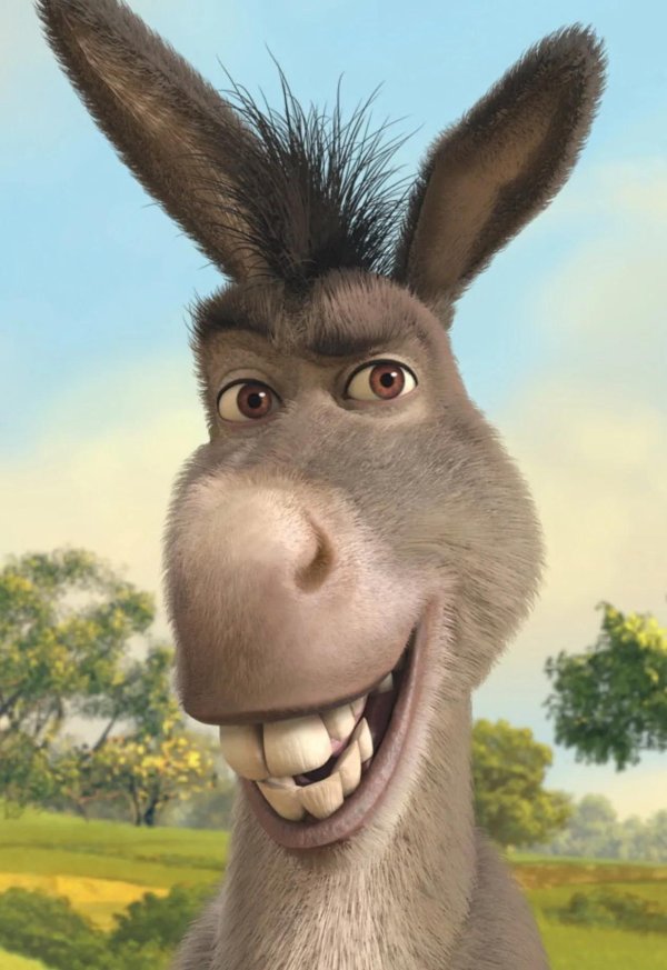 Прикольные смешные из мультиков с надписями