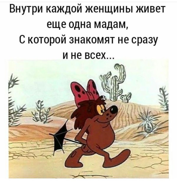 барбидокская дюдюка