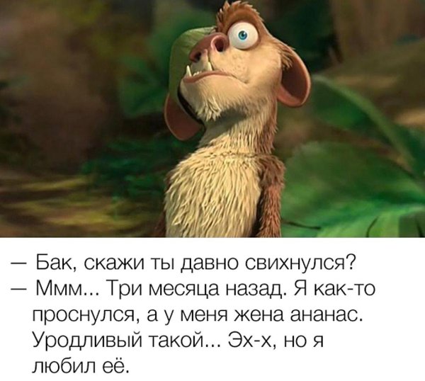 я проснулся а моя жена ананас