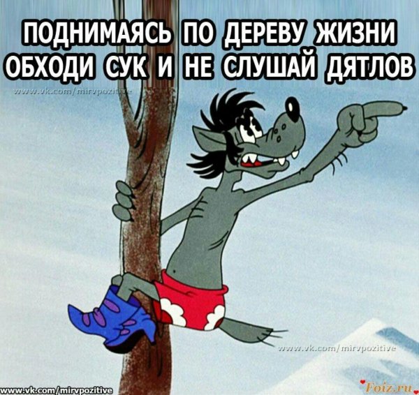 ну погоди с прикольными надписями