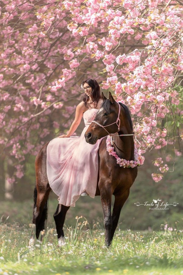 фотосессия с конем