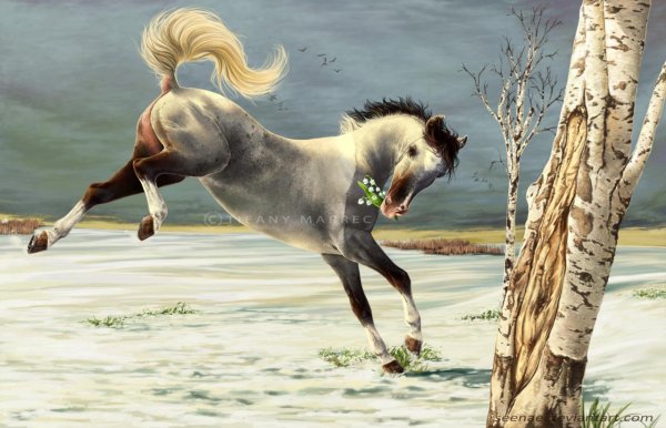 рисунок лошадей