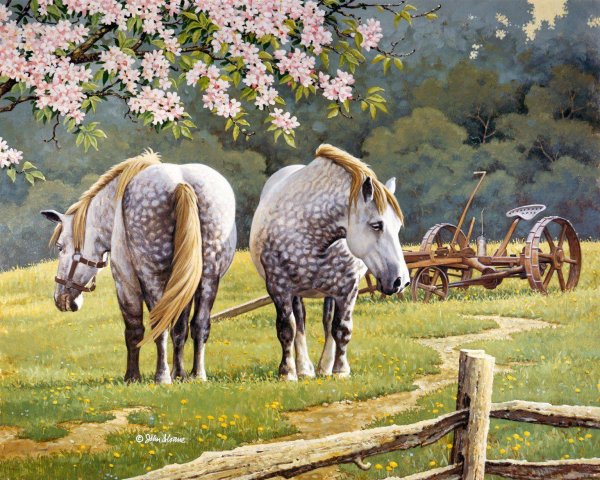 джон слоан художник