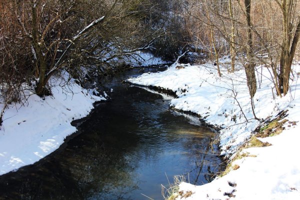 весенние ручейки