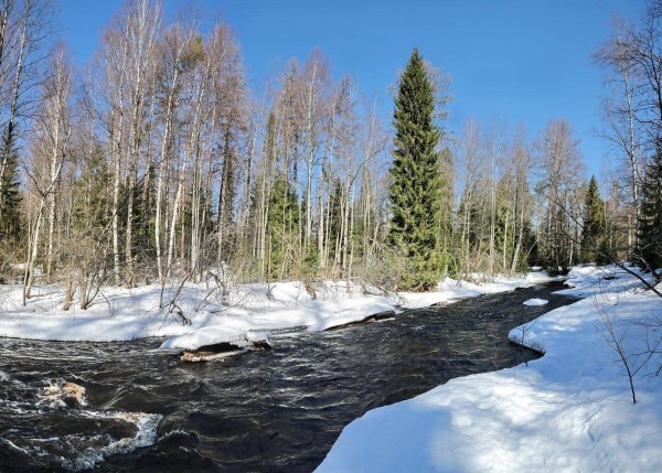 река видлица карелия