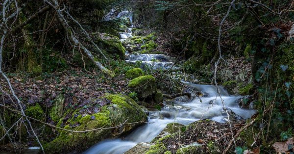 журчание ручья