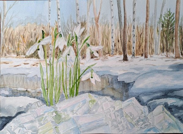 подснежники курбатов акварель