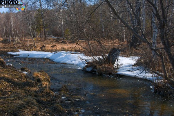 весенние ручьи