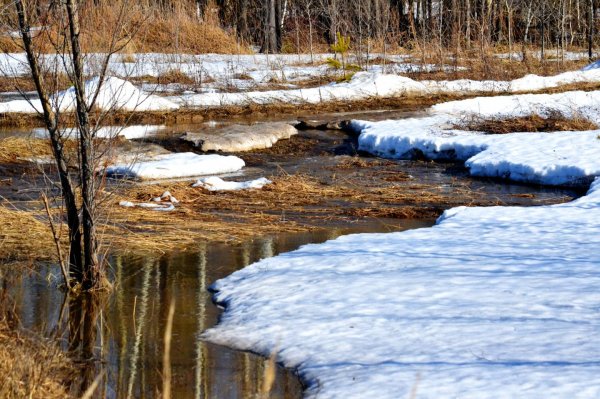 тает снег