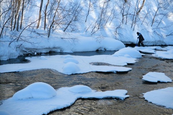 Весна ручьи журчат
