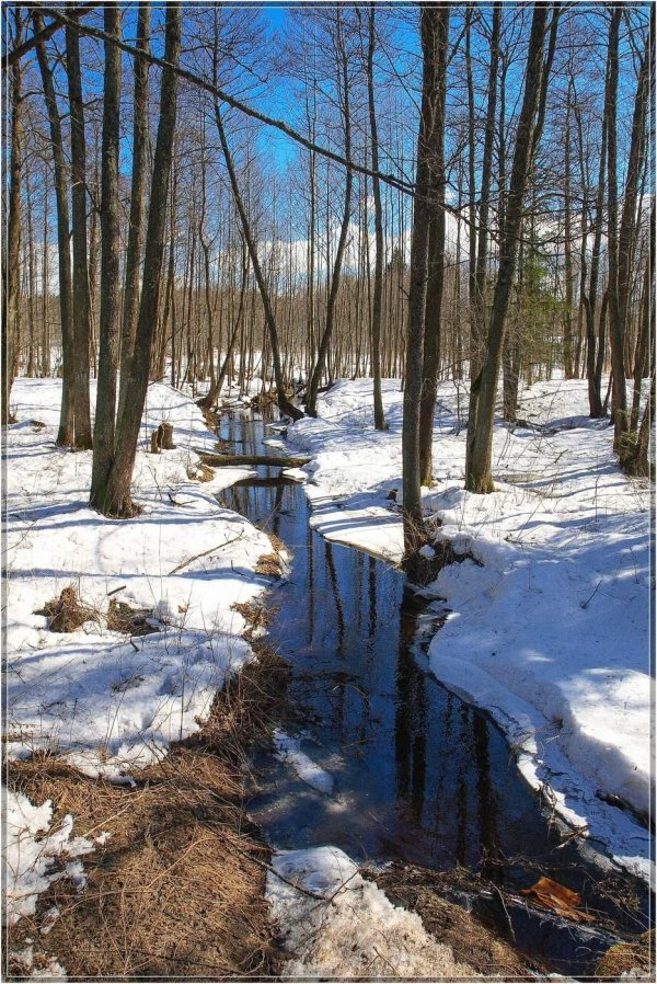 весенняя проталинка левитана