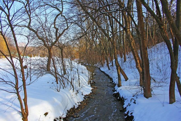 долина реки сетунь