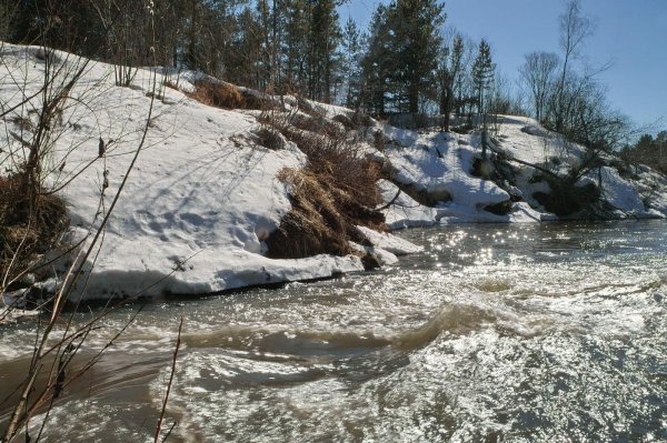 весенняя река