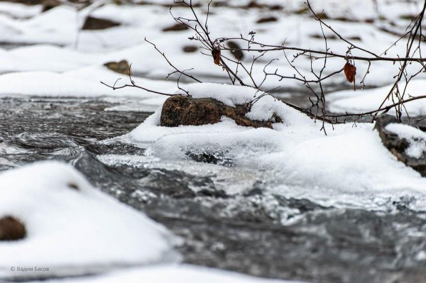 журчат ручьи