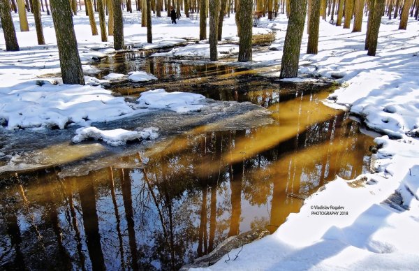 Весна ручьи журчат