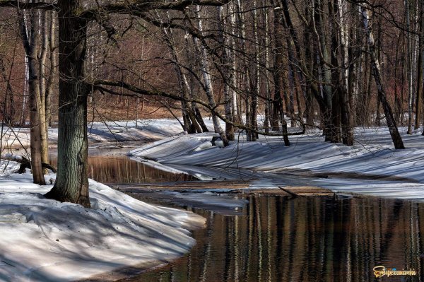 начало весны