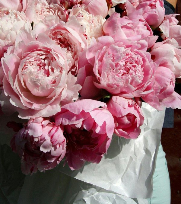 пион инновейшен