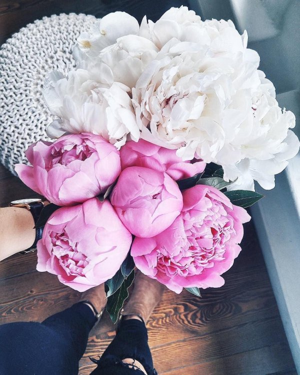 фотосессия с пионами