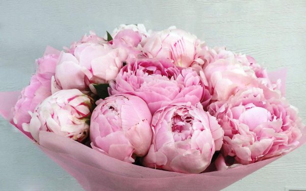 смешанный букет пионов
