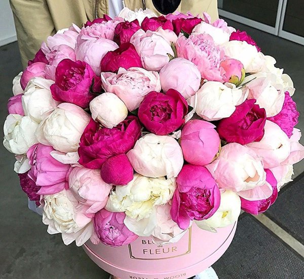 шикарный букет пионов