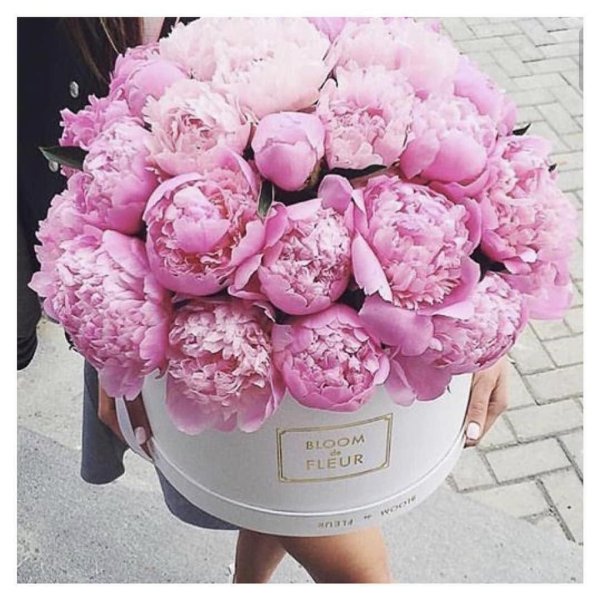 коробка с пионами