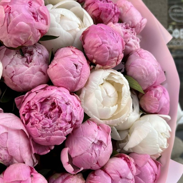 яркий букет пионов