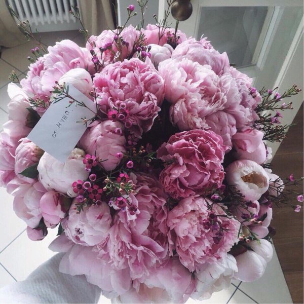 шикарный букет пионов