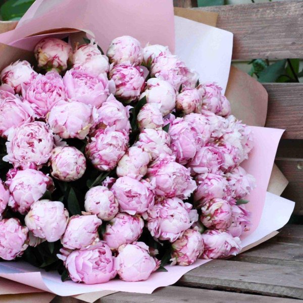 букет пионов розовых