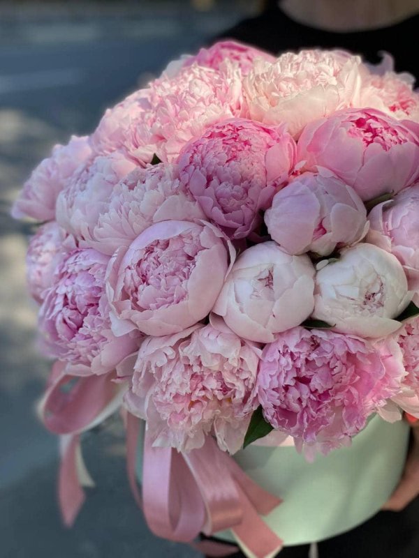 коробка с пионами