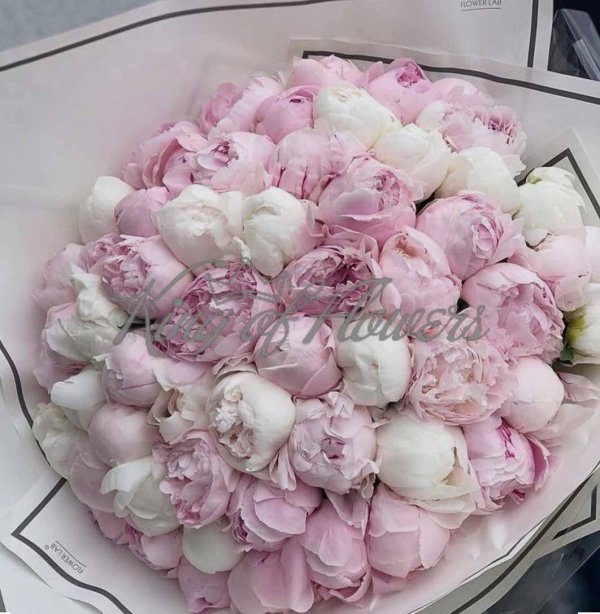 35 пионов сара бернар