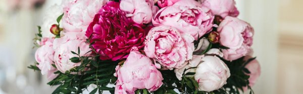 фон с пионами