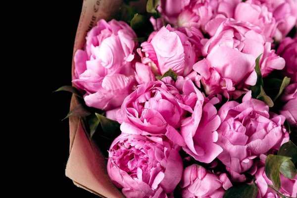 пионовидная роза