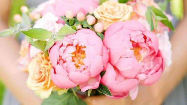 персиковые пионы