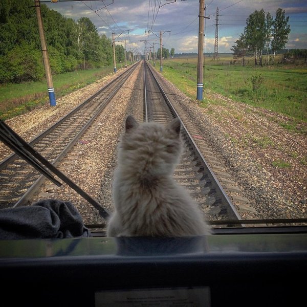 Легкой дороги и счастливого пути прикольные для настроения