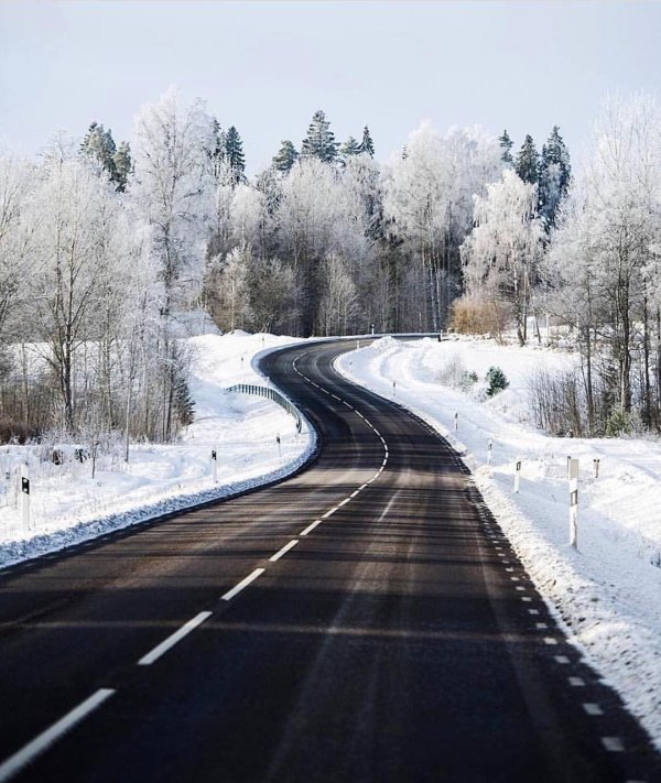 дорога зимняя