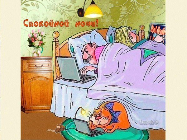 спокойной ночи с юмором
