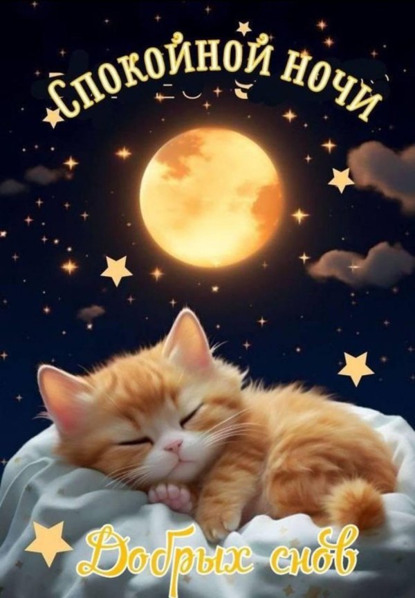 сладких сновидений