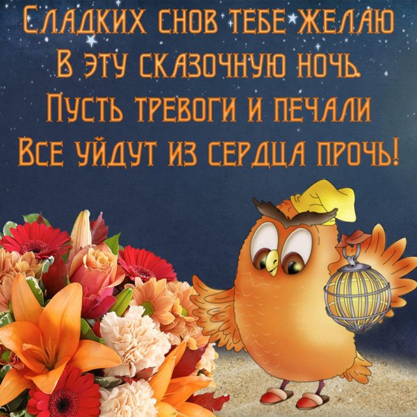 открытка спокойного ночи