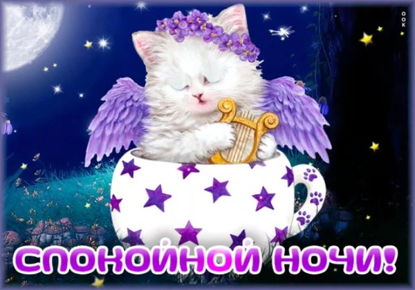 спокойной ночи открытка