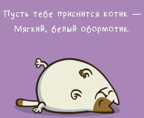 пусть тебе приснится котик белый мягкий обормотик