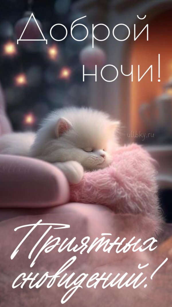 уютной ночи