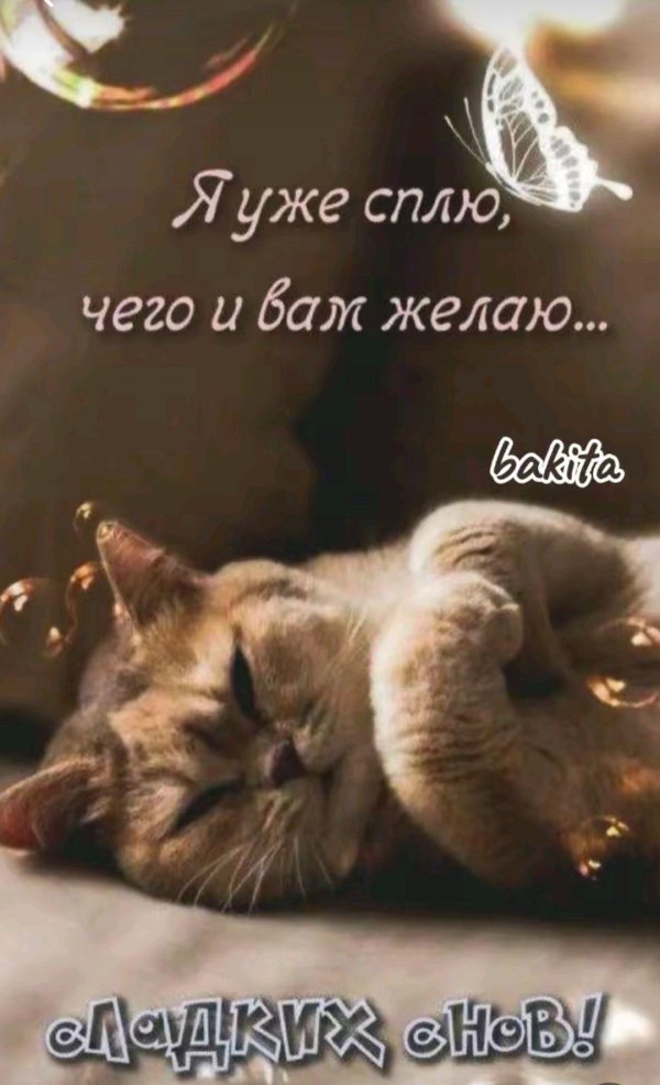 сладкие сны