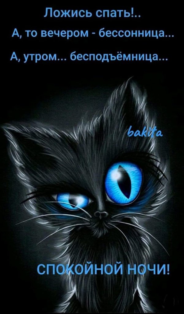 спокойной ночи веселые