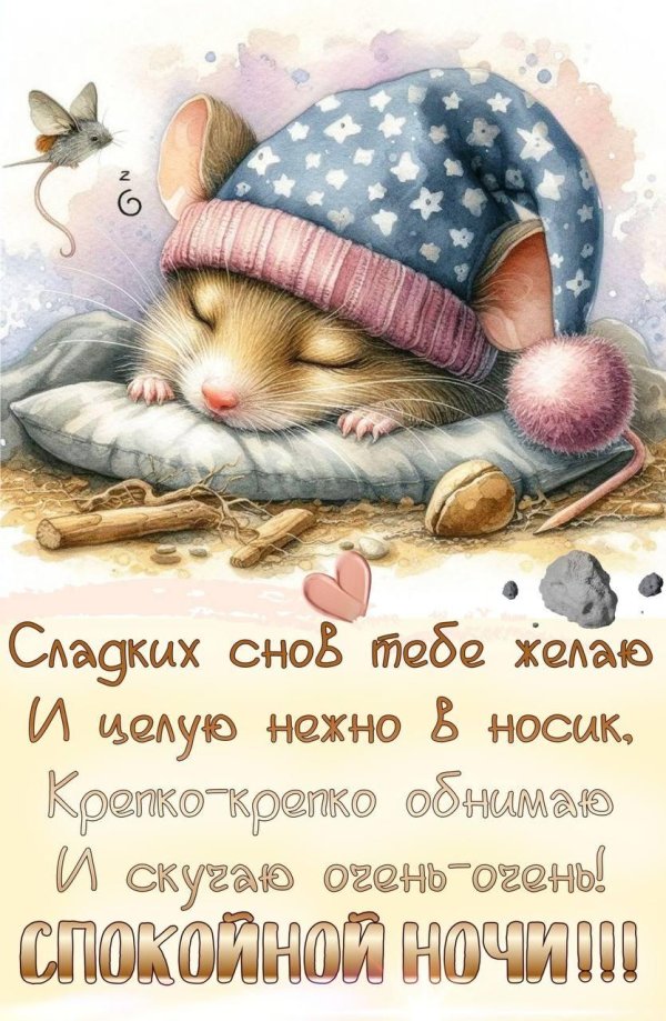 споки ноки сладких снов