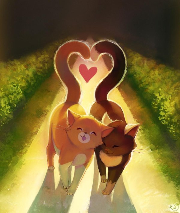 красивые мультяшные коты